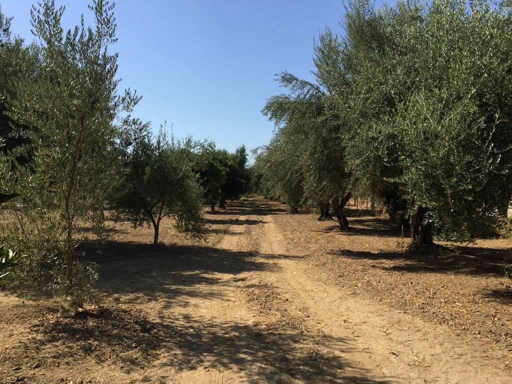 Elaianthos 1 Villa Gythio Bagian luar foto